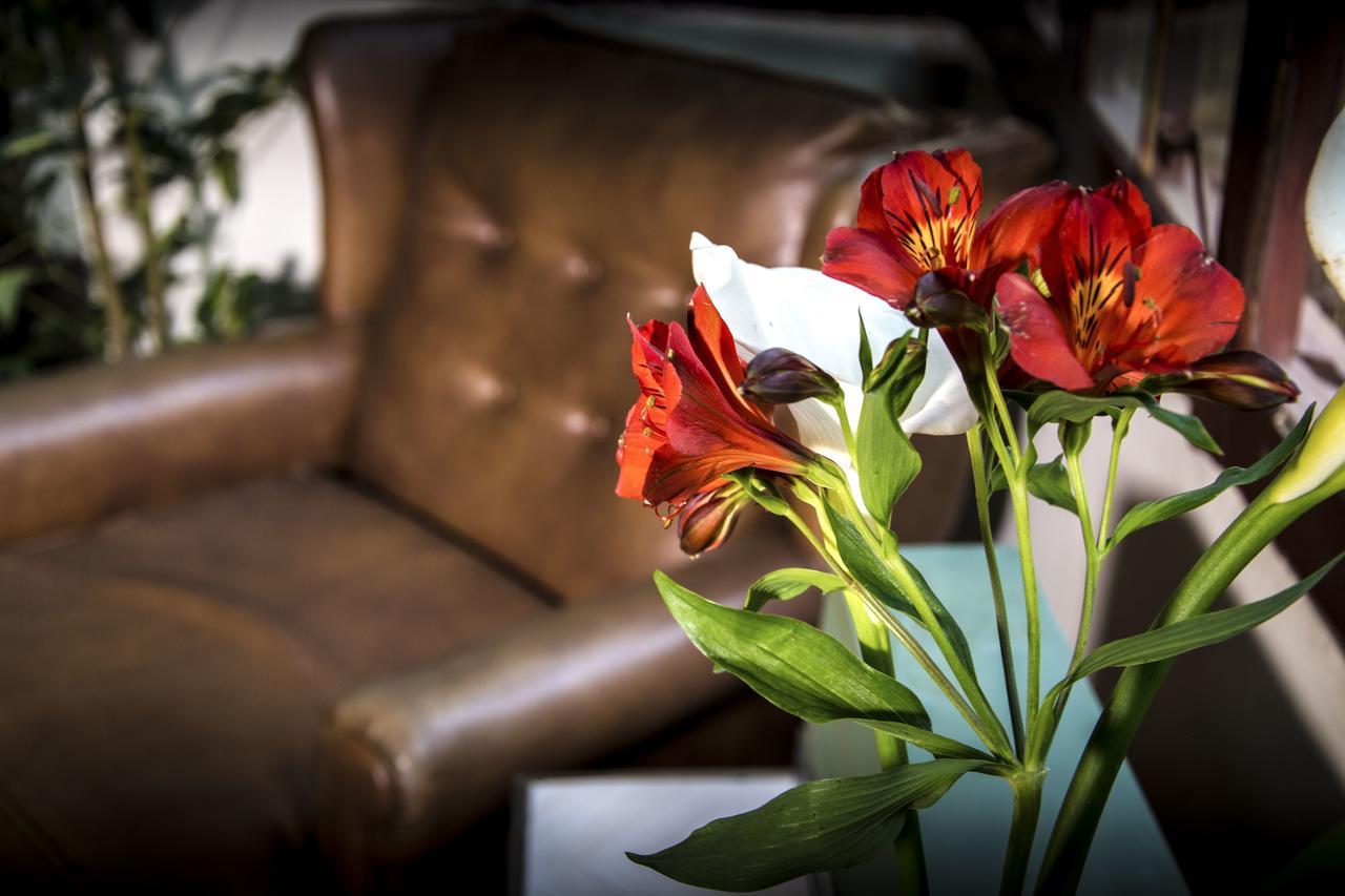 York Vintage Bed & Breakfast Ла Пас Екстериор снимка